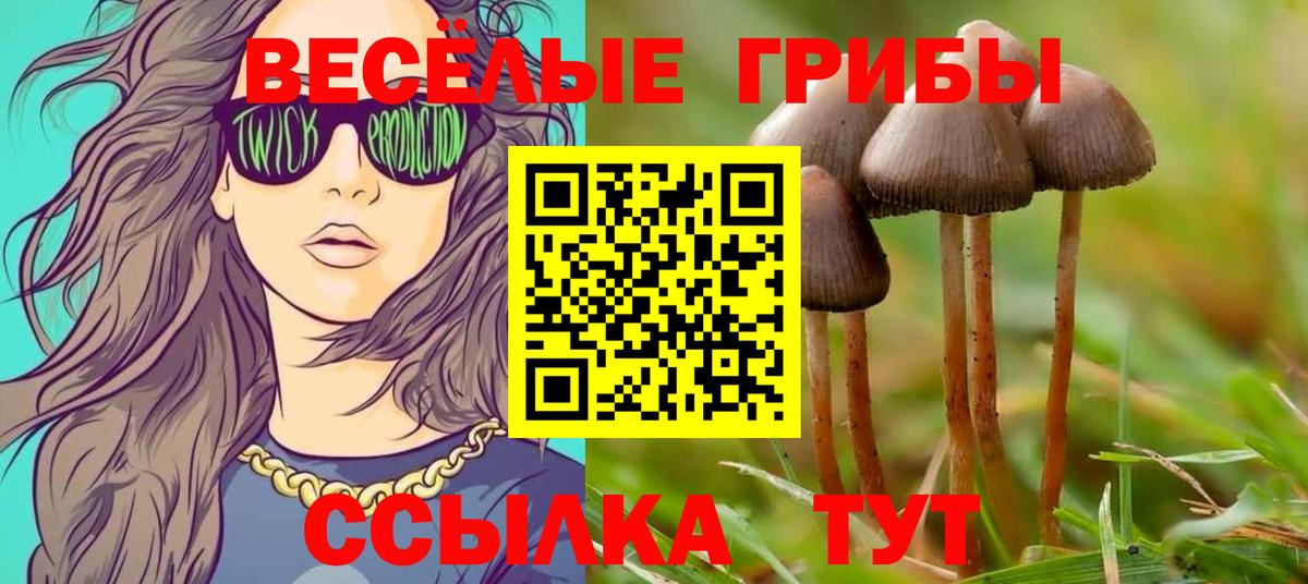 Большой Камень  Галлюциногенные грибы Psilocybine cubensis  Галлюциногенные грибы Psilocybine cubensis  Вход с VPN 