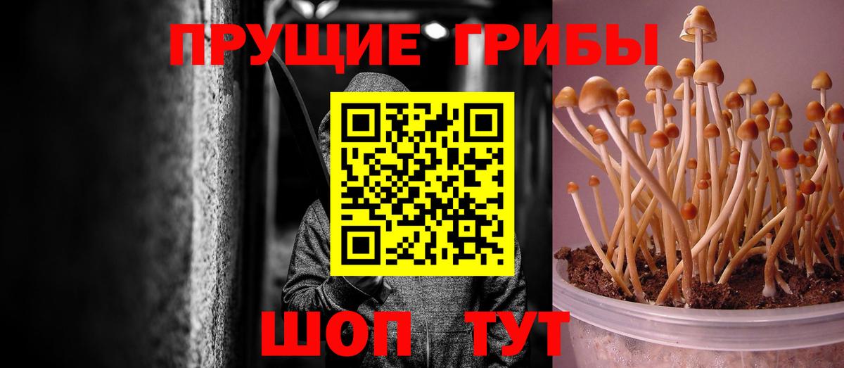 Псилоцибиновые грибы ЛСД Большой Камень